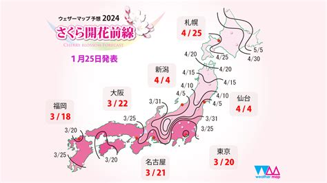 開花|桜開花予想【2024】｜ウェザーニュー